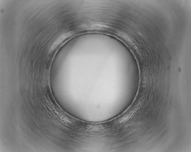 X0000059040978200510281538