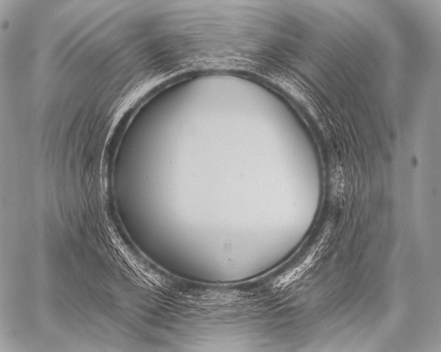 X0000059040981200510281538