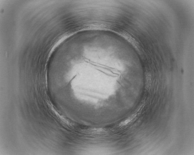 X0000059040982200510281538