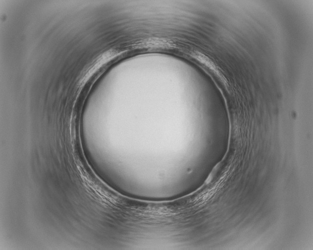 X0000059040983200510281538