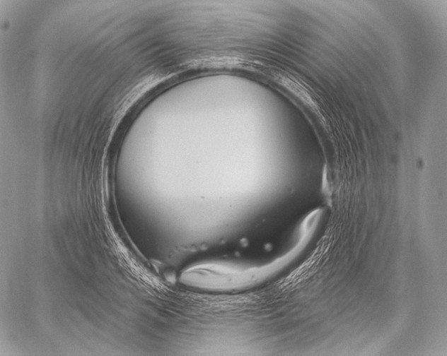 X0000059040984200510281538