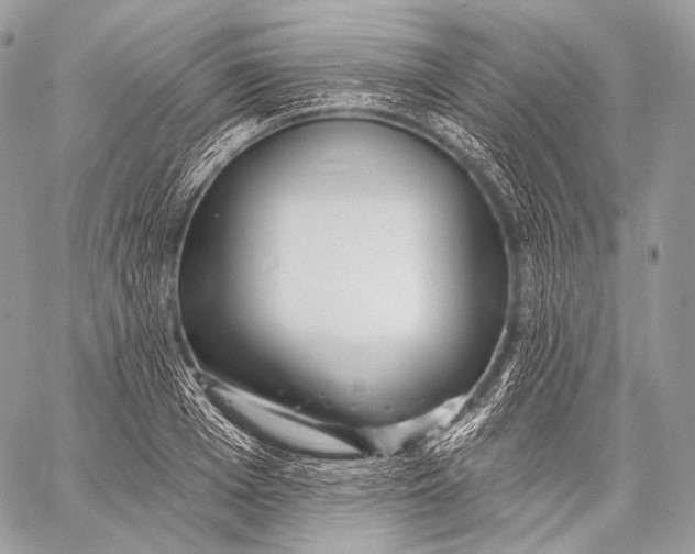 X0000059040985200510281538