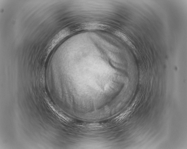 X0000059040986200510281538