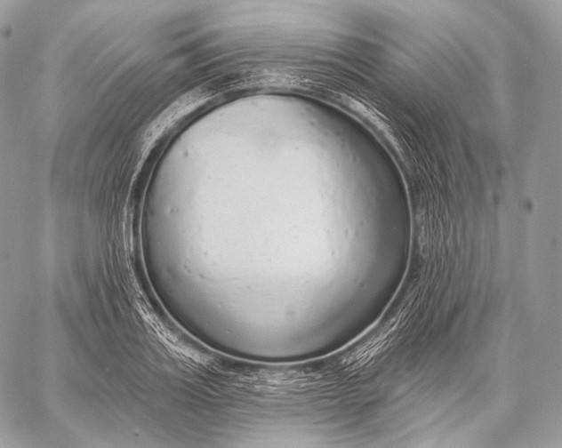 X0000059040987200510281538