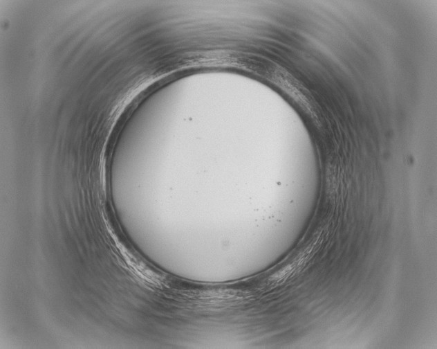 X0000059040988200510281538