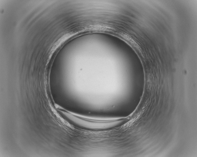 X0000059040989200510281538