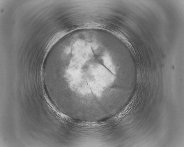 X0000059040990200510281538