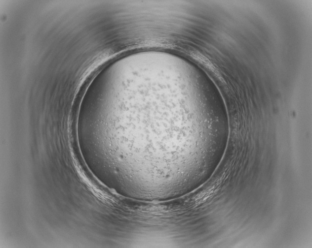 X0000059040991200510281538