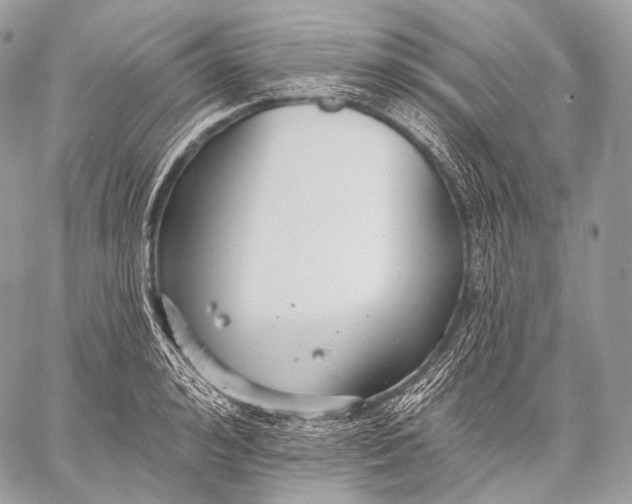 X0000059040992200510281537