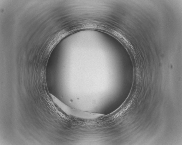 X0000059040993200510281537