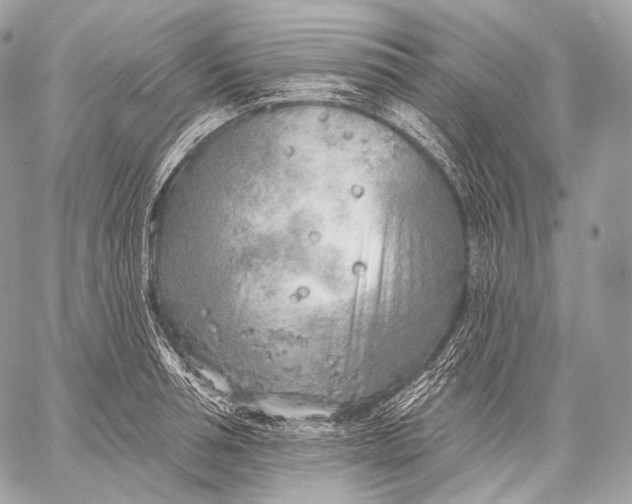 X0000059040994200510281537