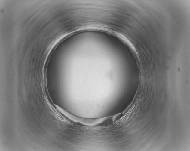 X0000059040996200510281537