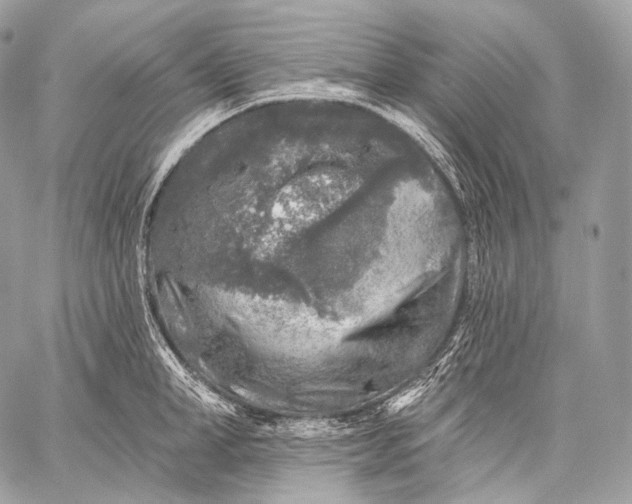 X0000059040998200510281537