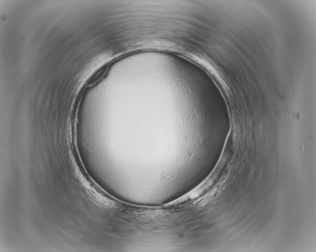 X0000059040999200510281537