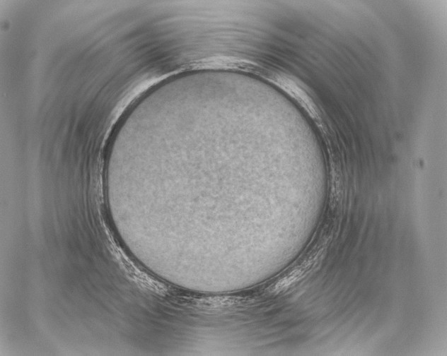 X0000059041000200510281537