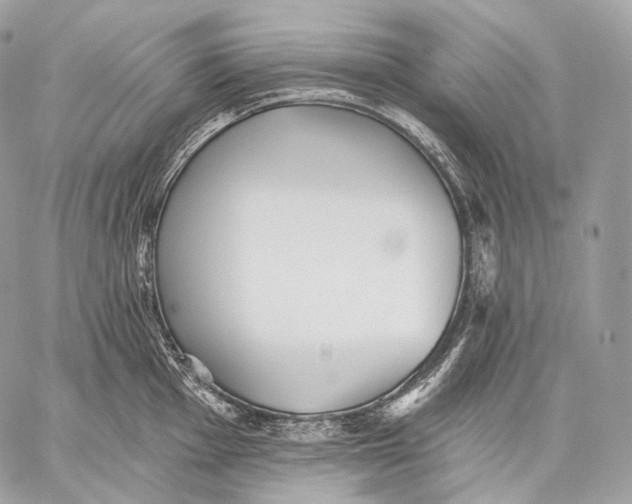 X0000059041001200510281537