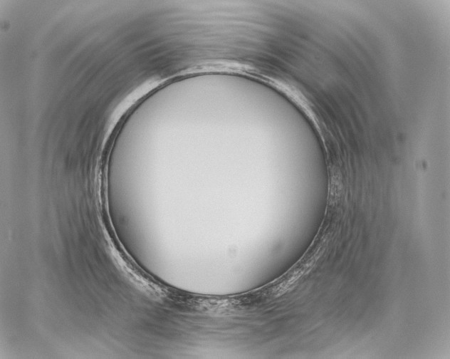 X0000059041003200510281537