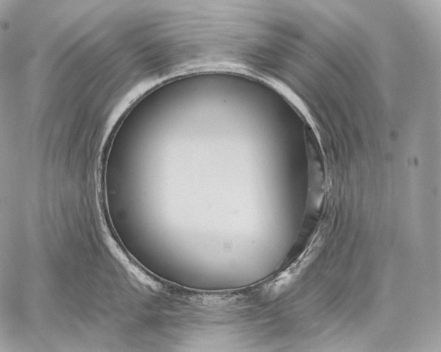 X0000059041005200510281537