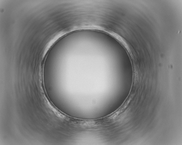 X0000059041006200510281537