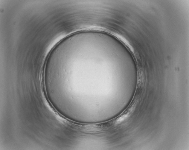 X0000059041007200510281537