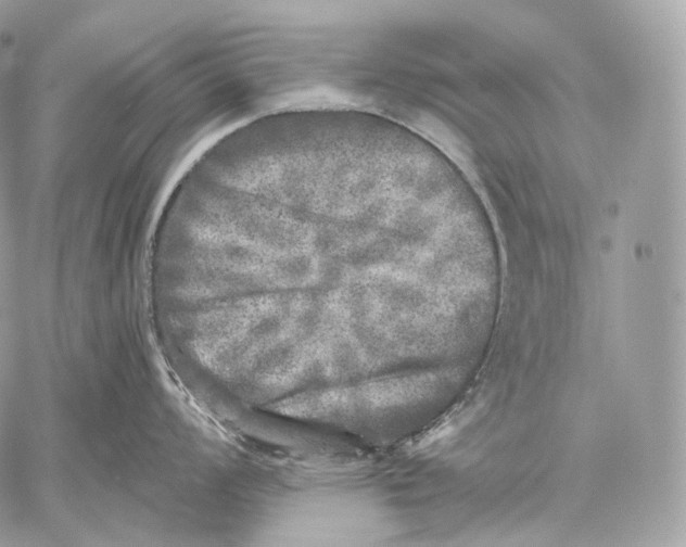 X0000059041008200510281537