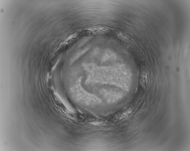 X0000059041010200510281536