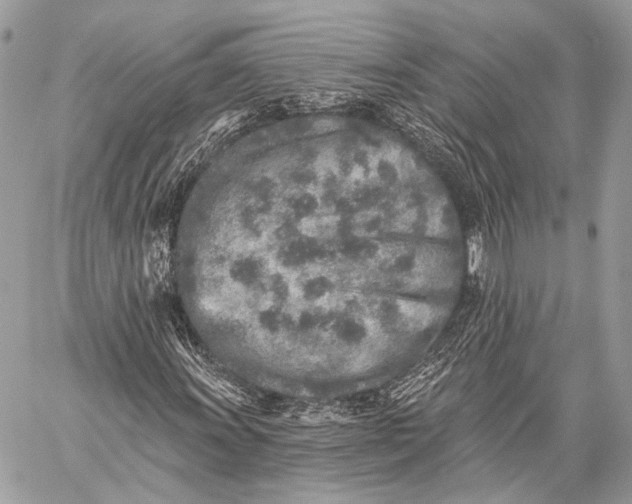 X0000059041011200510281536