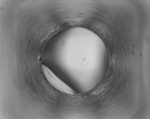 X0000059041012200510281536