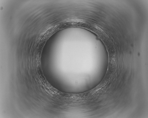 X0000059041014200510281537