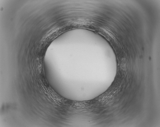 X0000059041015200510281537