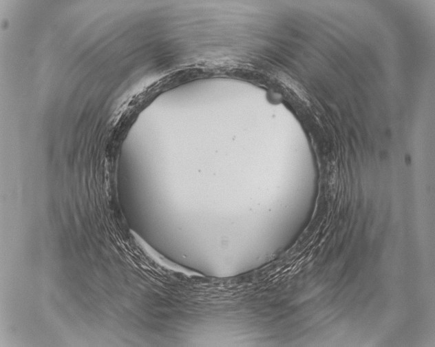 X0000059041016200510281537