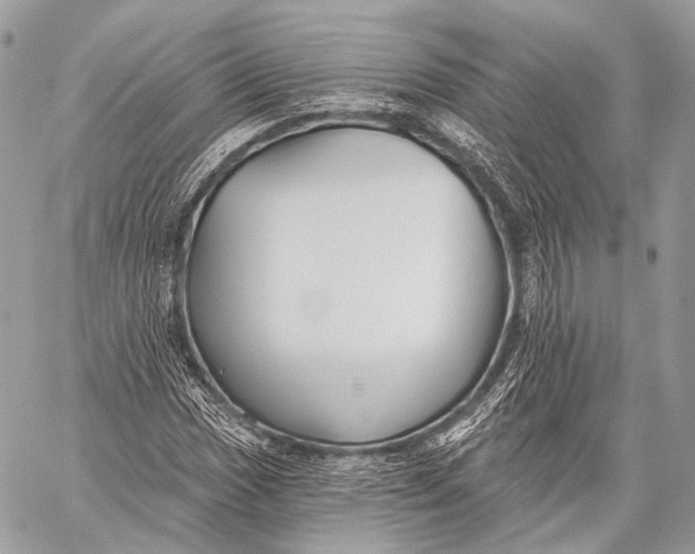 X0000059041017200510281537