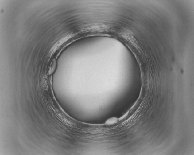 X0000059041018200510281537