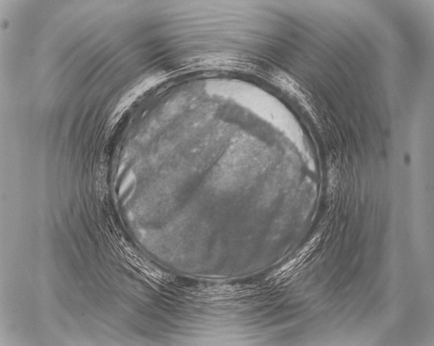 X0000059041019200510281537