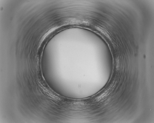 X0000059041021200510281537