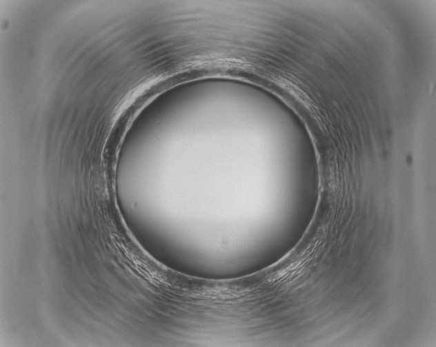 X0000059041022200510281537