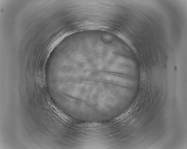 X0000059041023200510281537