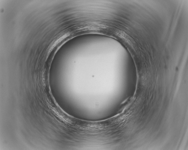 X0000059041026200510281537