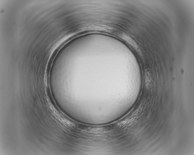 X0000059041028200510281537