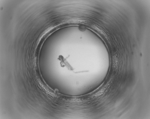 X0000059041029200510281537