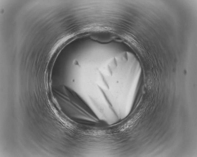 X0000059041030200510281537