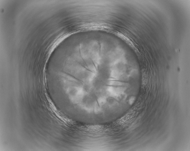 X0000059041031200510281537