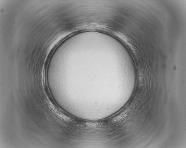 X0000059041032200510281537