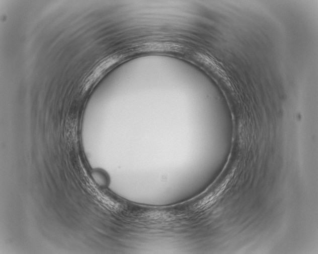 X0000059041033200510281537