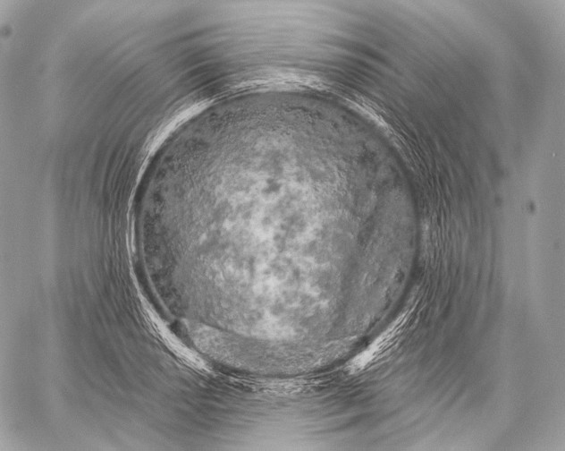 X0000059041034200510281537