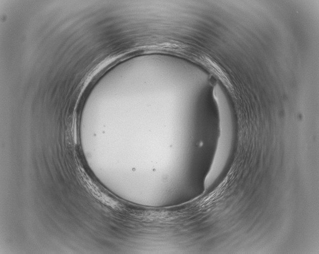 X0000059041036200510281537