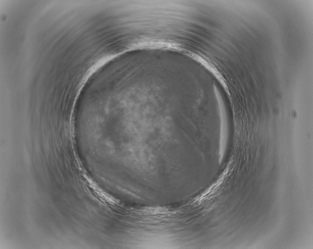 X0000059041037200510281537