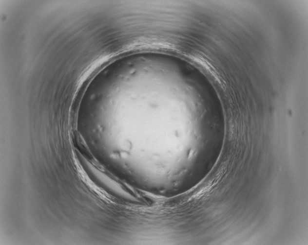 X0000059041038200510281537