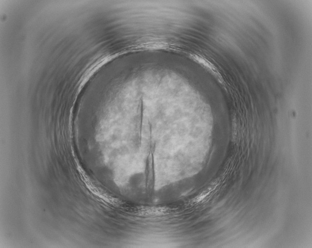 X0000059041039200510281537