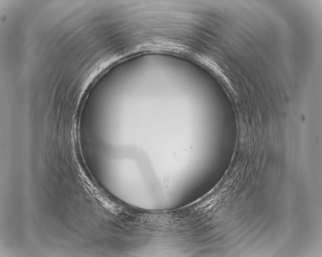 X0000059041040200510281537